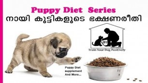 'Puppy Diet And Supplements Malayalam : Puppy Food : Diet Chart : puppy diet plan : All Breed Puppy'