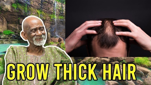 'Hair Food Herbal Remedy For Strong Thick Hair by Dr Sebi'