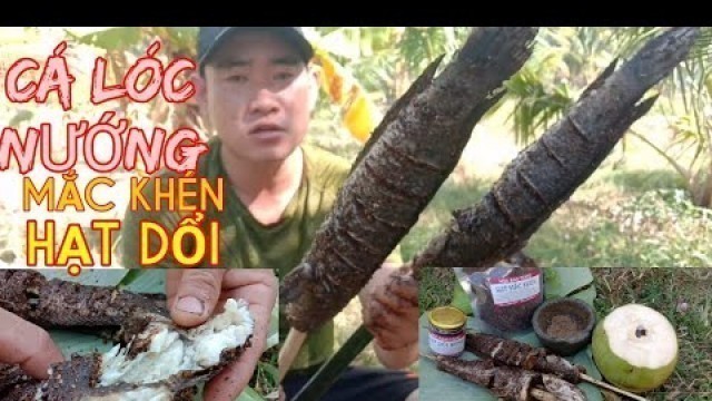 'CÁ LÓC NƯỚNG MẮC KHÉN ,HẠT DỔI , HOA BAN FOOD'