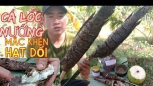 'CÁ LÓC NƯỚNG MẮC KHÉN ,HẠT DỔI , HOA BAN FOOD'