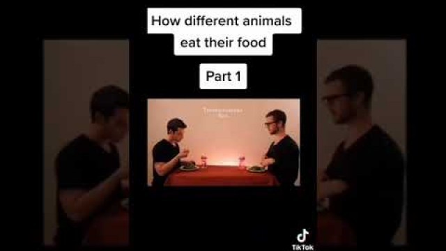 'how different animals eat there food'