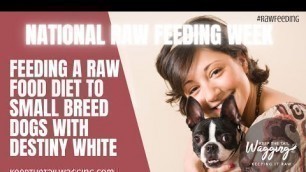 'What You Need to Know About Feeding a Raw Food Diet to Small Breed Dogs with Destiny White #NRFW2022'